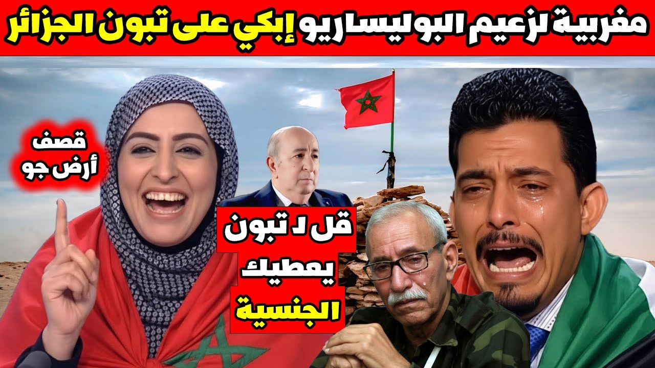 مغربية لزعيم البوليساريو إبكي على تبون الجزائر 😂