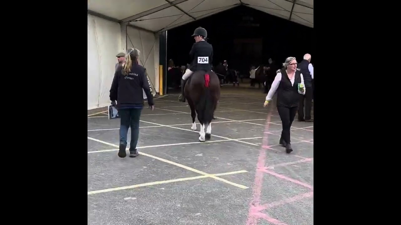 Hoys 2023