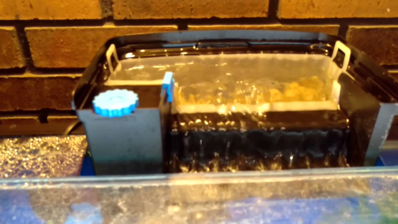Seachem Tidal filter review