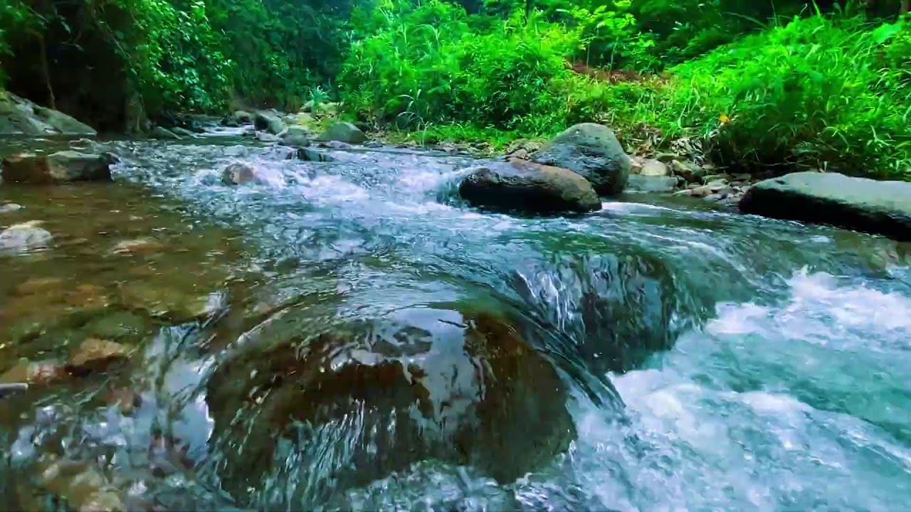Мозг отключается сам 🌿 Шум чистой горной реки и малых водопадов