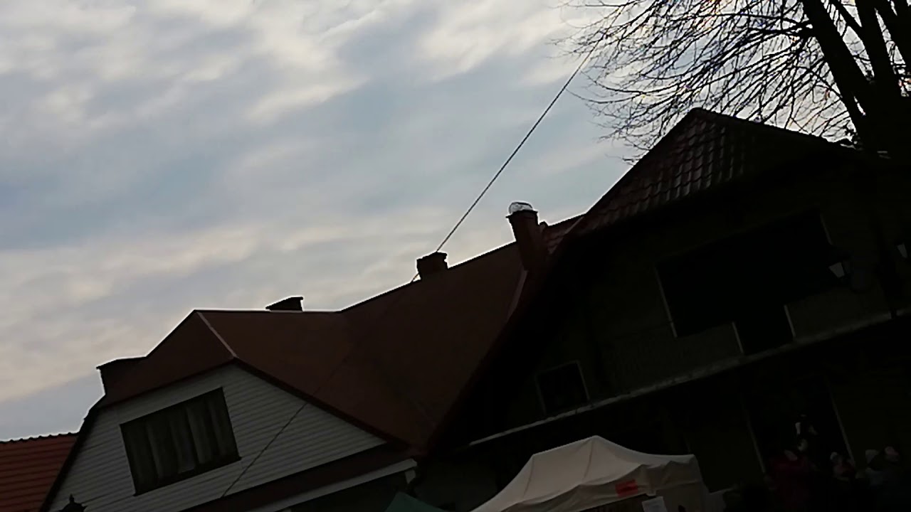 Stawianie najwyższej palmy w Lipnicy Murowanej 14 .04.2019