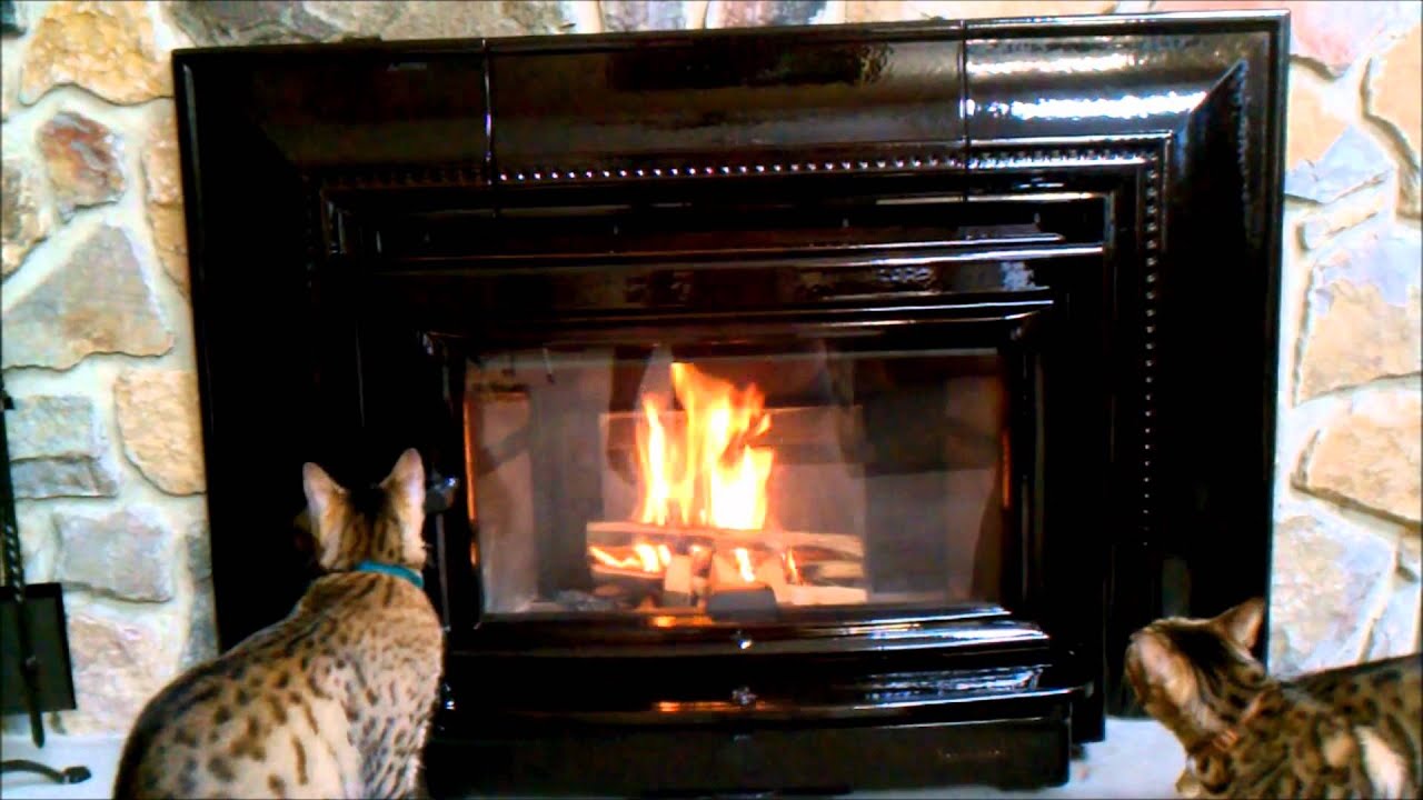 Hearthstone Clydesdale First Break-In Fire