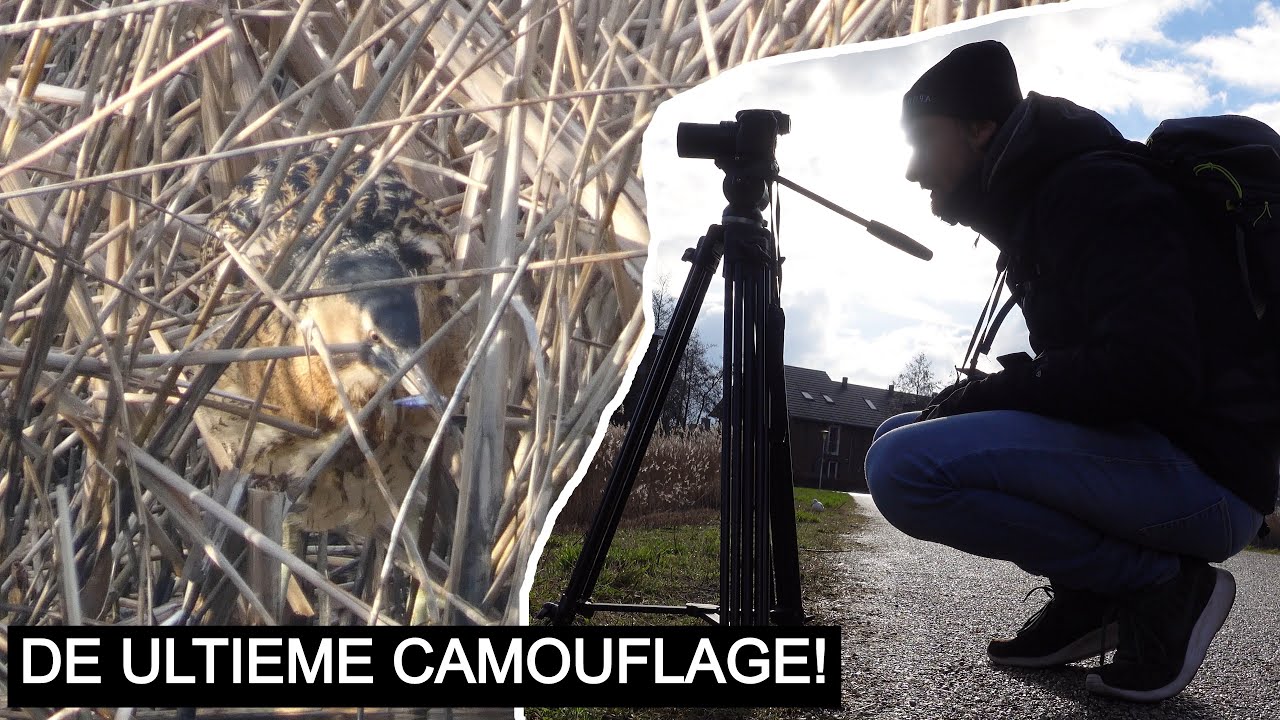 #190: Bucketlistsoort: ROERDOMP GESPOT!