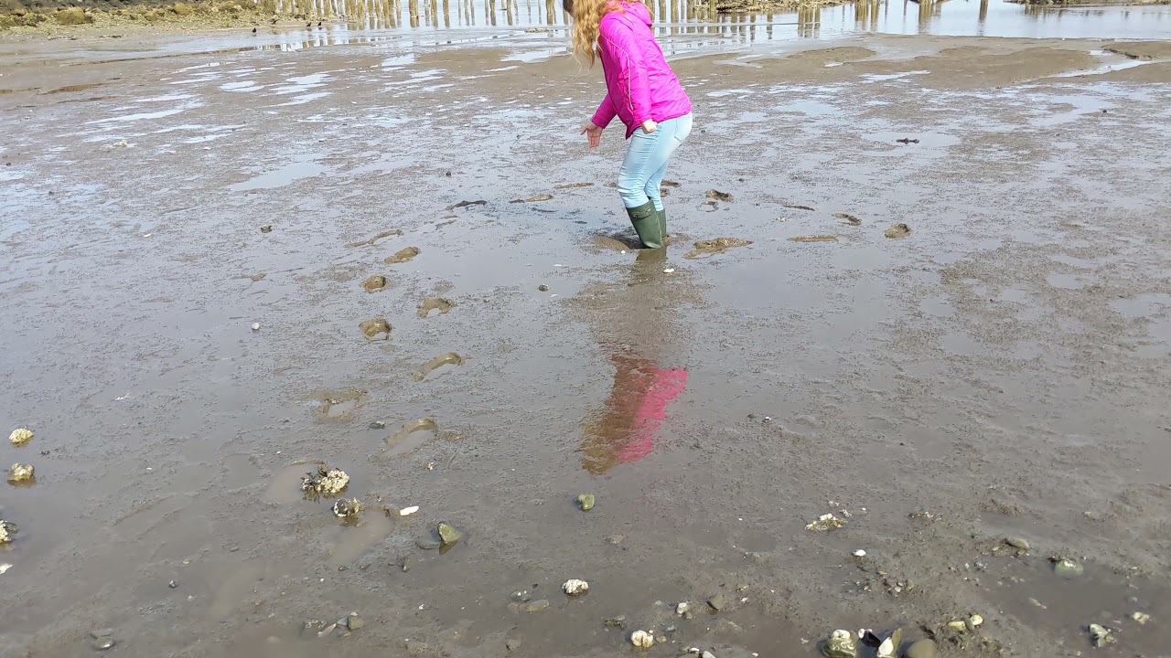 Green Hunters in sandy tidal mud, pt. 1 (2021-02)