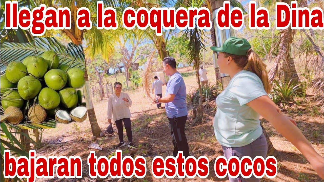 Asi reaccionan al ver una parte del gran terreno de la Dina😱😳