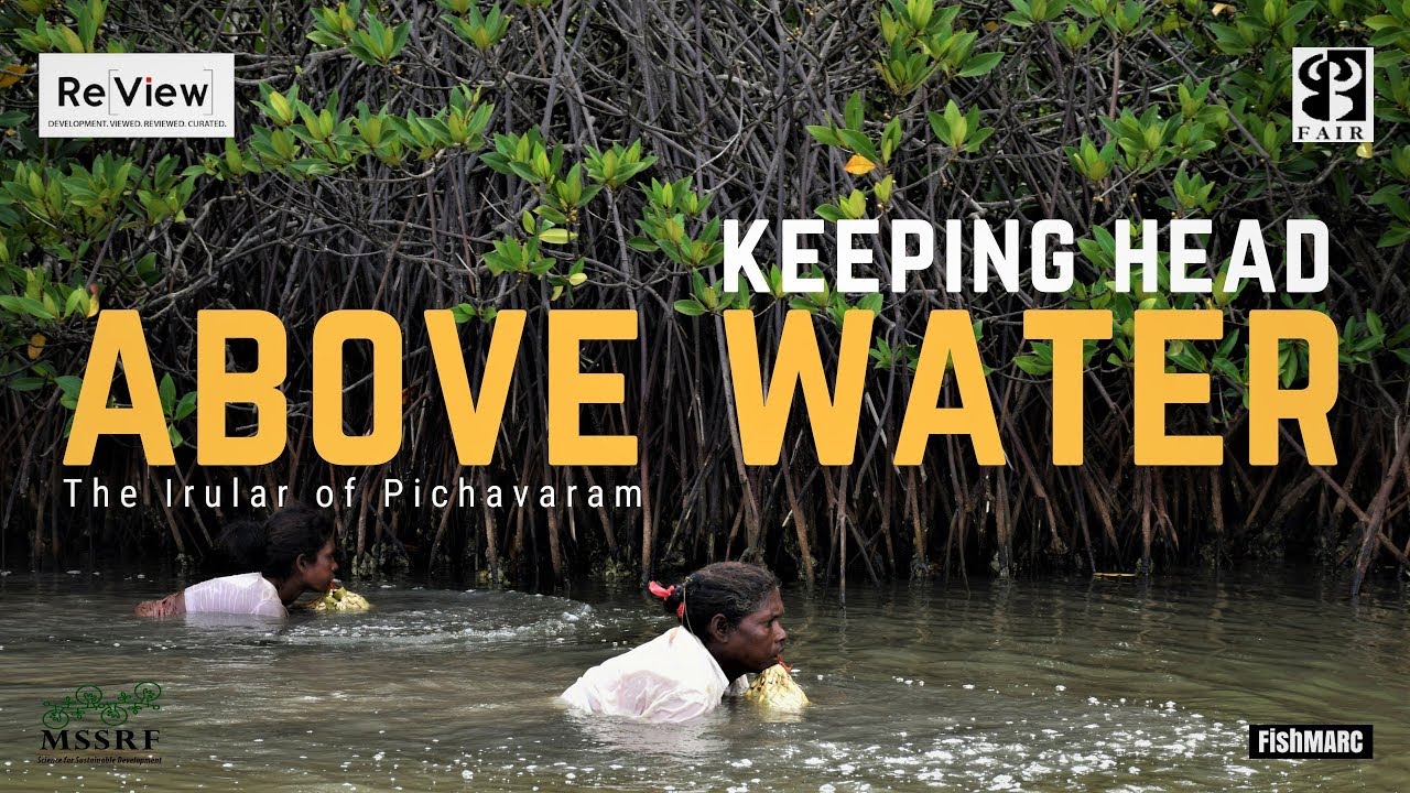 Keeping Head Above Water: The Irular of Pichavaram