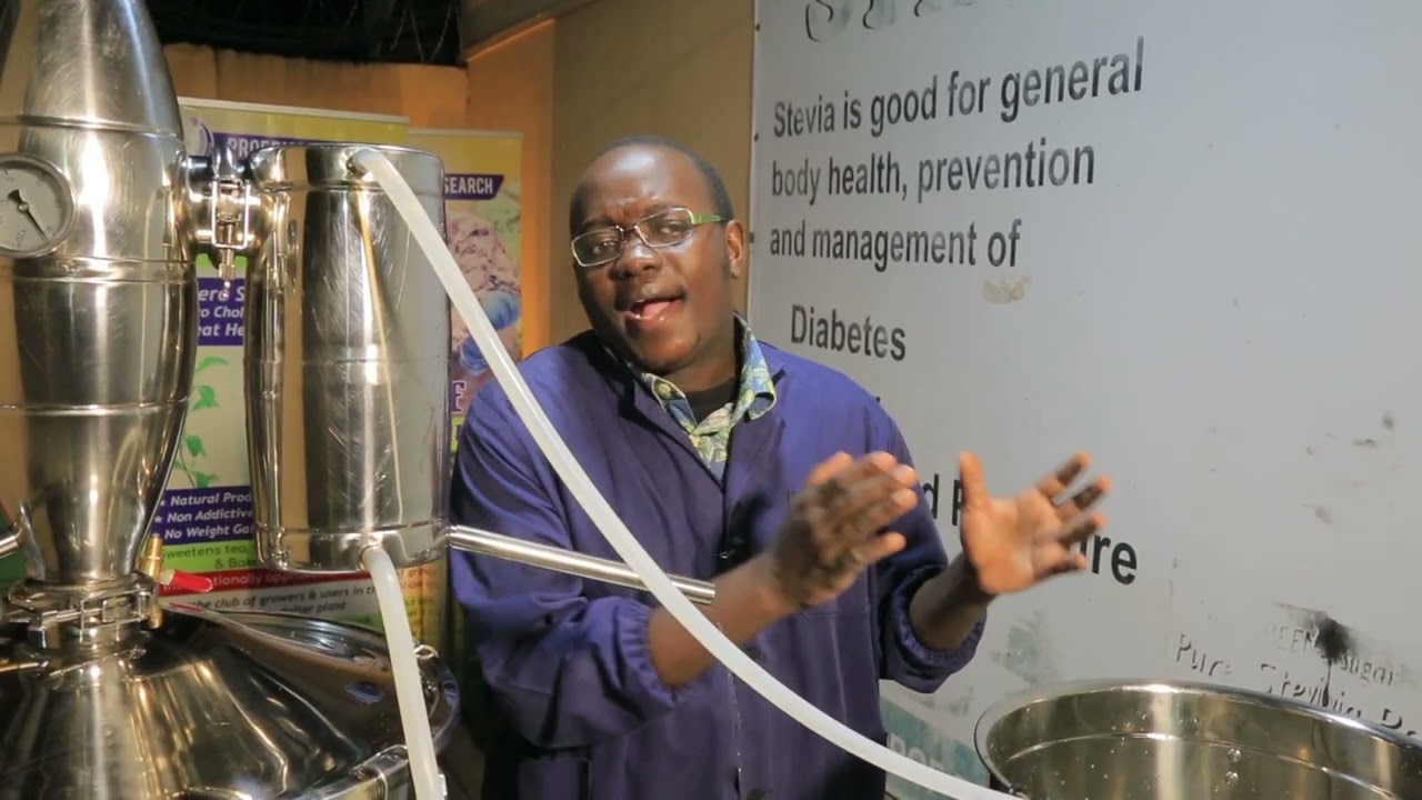 EUCALYPTUS OIL MAKING  FROM ALL EUCALYPTUS TREES WITH OMUKENKUFU NYANZI JULIUS Part two(2)