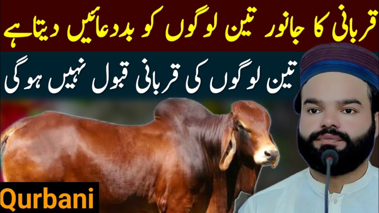 Qurbani Ka Janwar 3 Logon Ko Bad Dua Deta Hai | Shabbir Qamar Bukhari Emotional Bayan | Moral Story