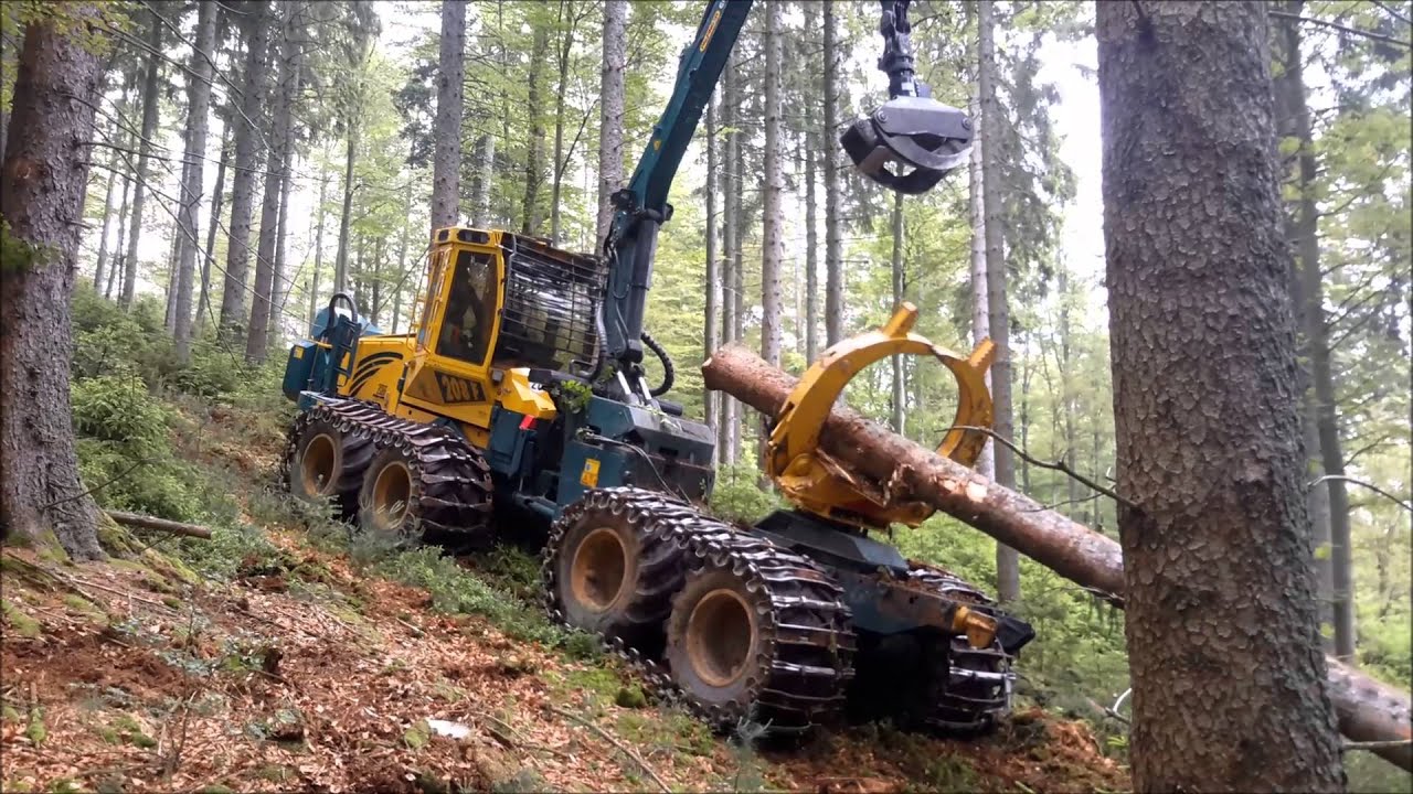 HSM Forwarder 208F steep slope with clambunk
