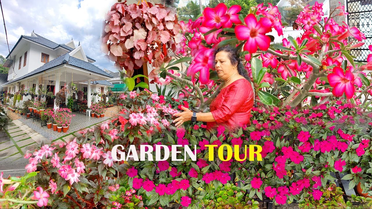 വർഷം  മുഴുവൻ  പൂക്കൾ കൊണ്ട് നിറയുന്ന വീട് || Garden tour || Flowering Garden tour || Garden india