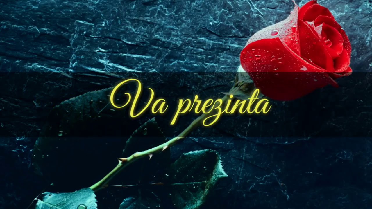 Ești trandafirul din saron negativ 2018