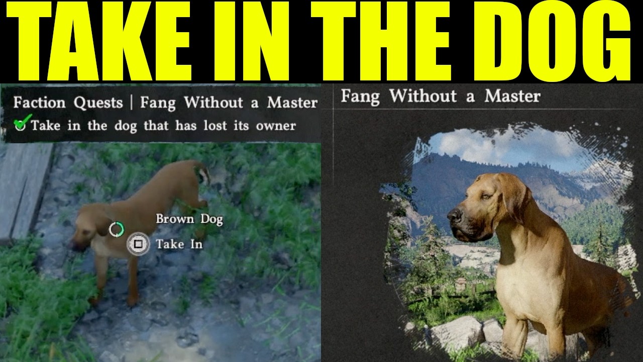 Crimson desert - how to  take in the dog that lost its owner | fang without a master quest guide