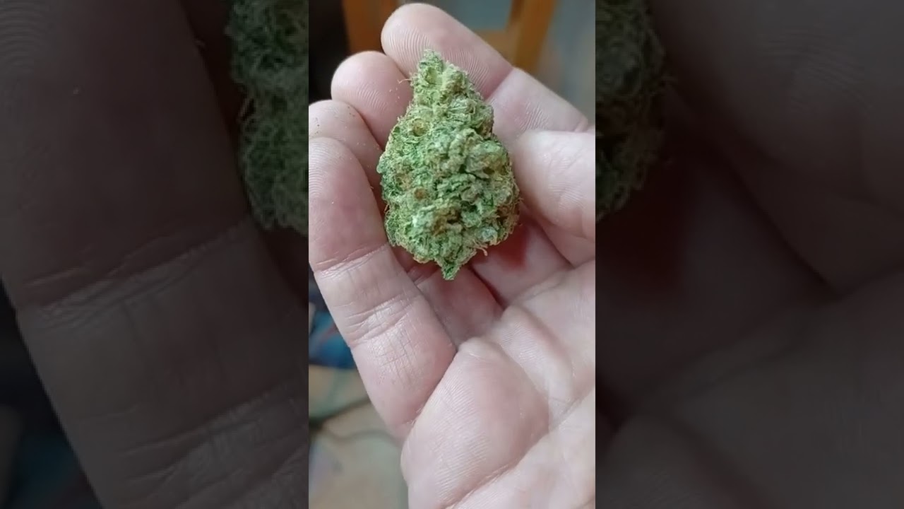@TweedleFarms Green Goddess CBD hemp flower (is it good?)