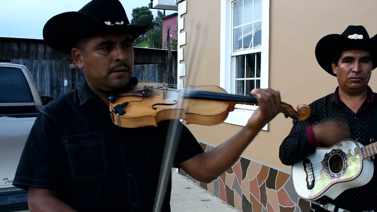 A pie Descalzo (Vídeo Oficial)//Trio Amigos de la Sierra//SUSCRÍBETE