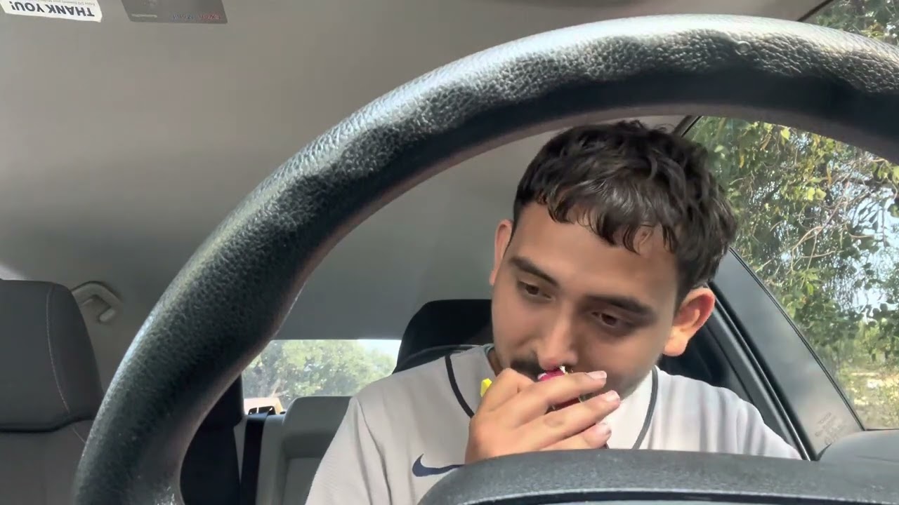 Fryd dispo review (Lemonberry tartz) Hotbox edition🔥🔥🔥