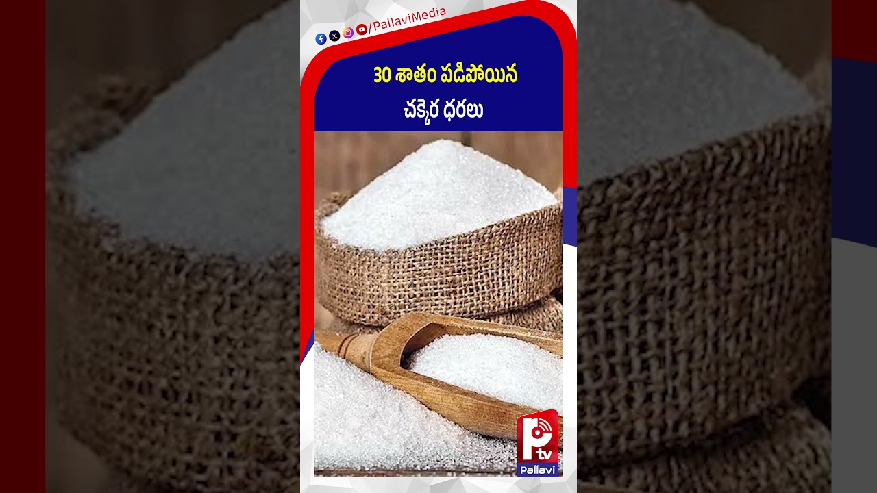 30 శాతం పడిపోయిన చక్కెర ధరలు | Sugar Price Crashes | Latest Updates | Pallavi TV
