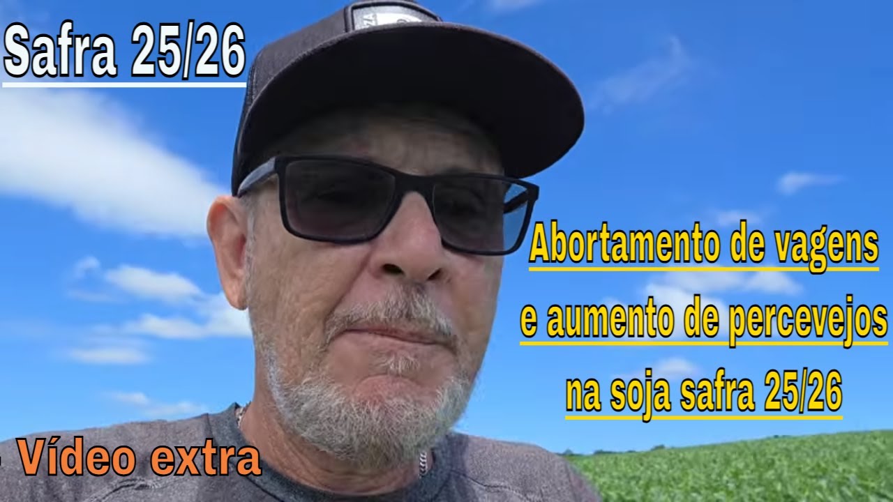 Abortamento de vagens no baixeiro da soja preocupa e percevejos estão aparecendo em maior quantidade