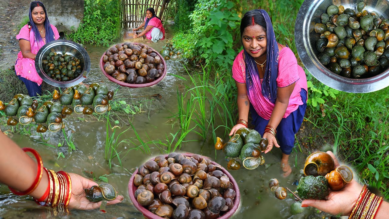 Snail Cooking & Eating Healthy Snail | Cooking Indian Snails in Village ghonga kaise banaye घोघा