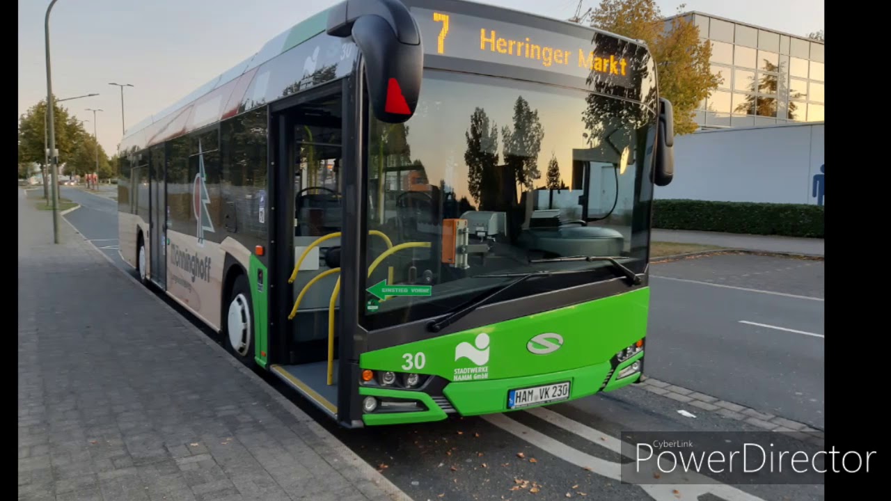 Sch&ouml;ne Busbilder