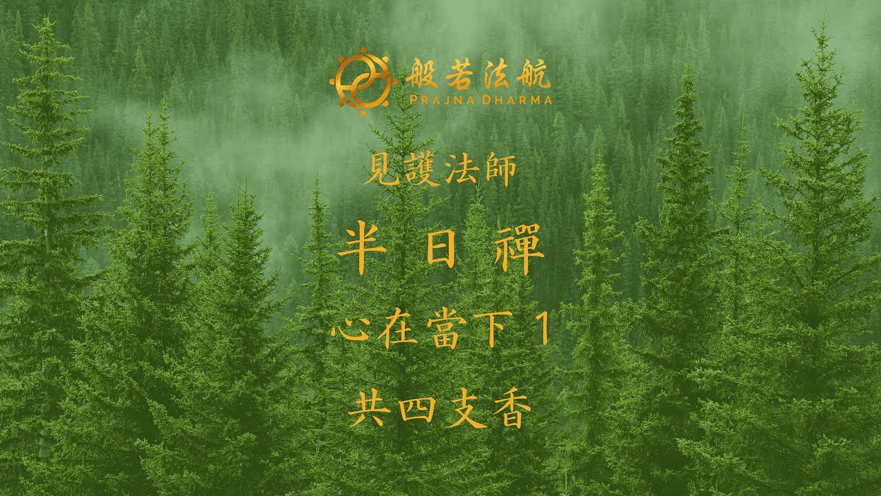 半日禪06 心在當下1 見護法師