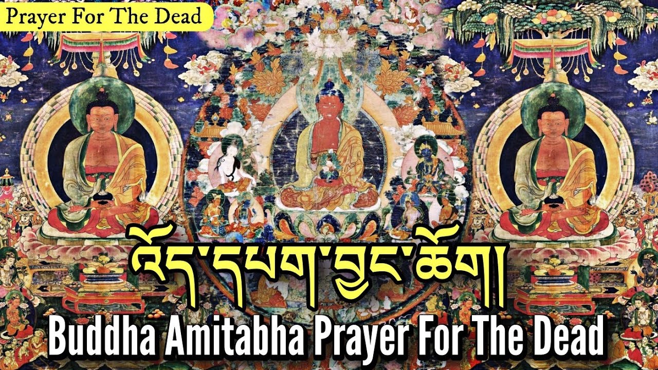 ☸འོད་དཔག་བྱང་ཆོག|Buddha Amitabha Jangchok|Reborn In Sukhavati (Pureland)Buddhist Prayer For Dead