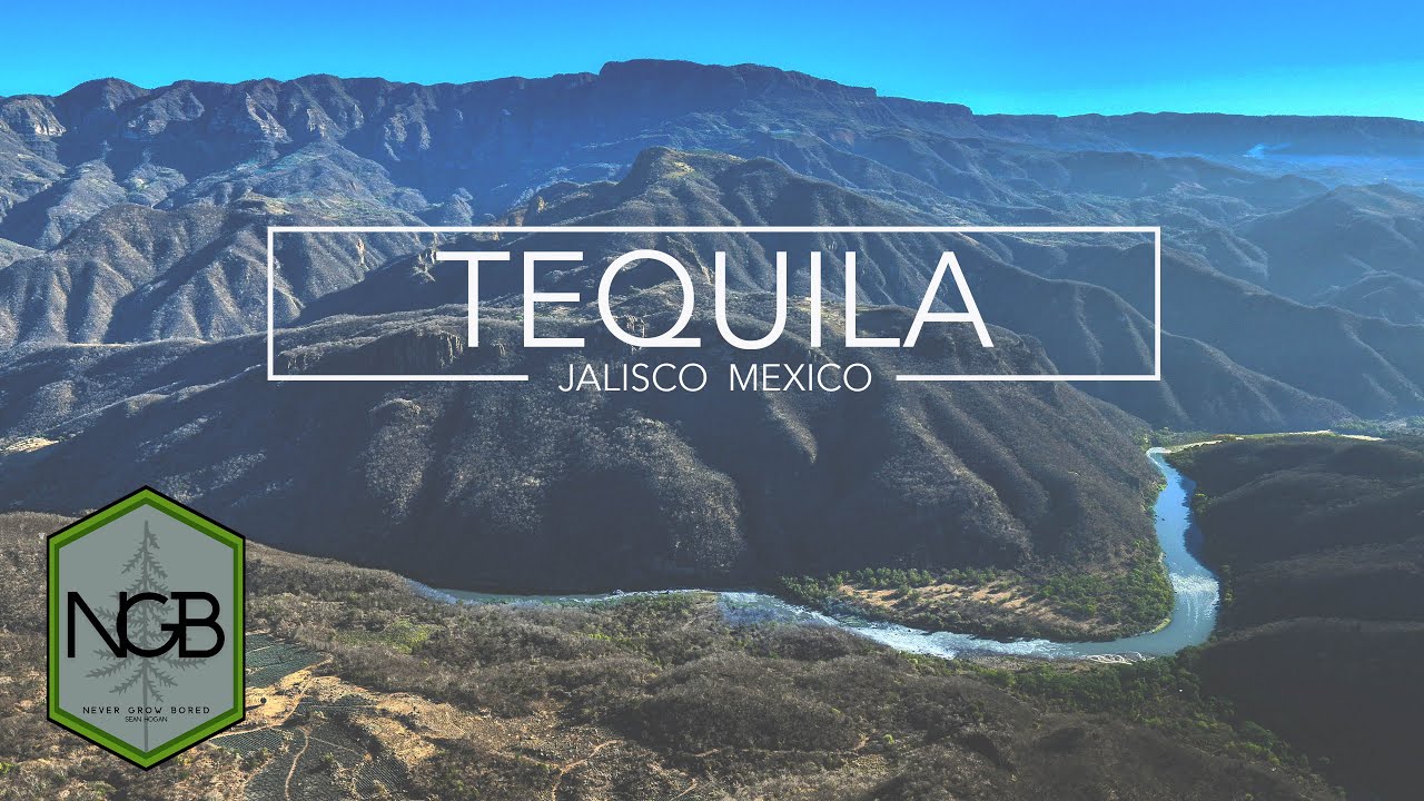 Tequila, Jalisco, MX -- 4K Drone Cinematic