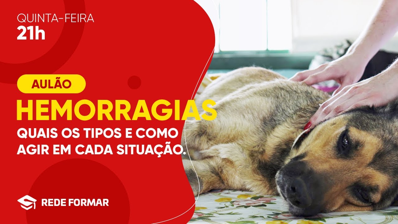 HEMORRAGIAS | Quais os tipos e como agir em cada situação - Dra Karina Henriques | Rede Formar
