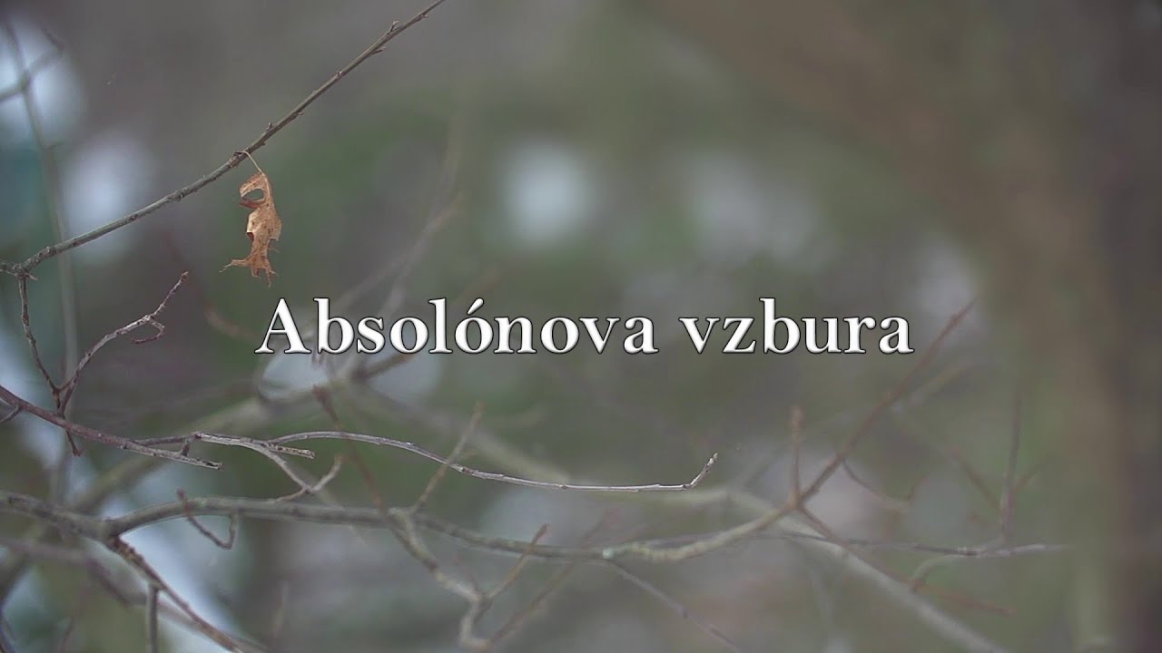 BIBLIA 31 | Absolónova vzbura
