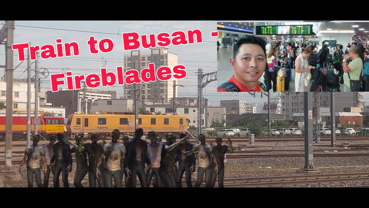 Train To Busan 2025 #dragonboat #paddling #firebladesqa