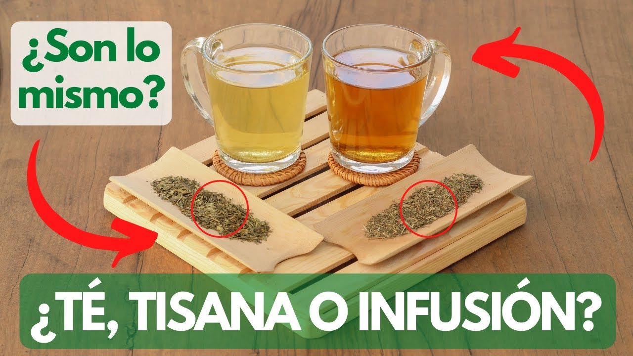 3 Diferencias entre T&eacute; y Tisana &iquest;Son lo mismo que una infusi&oacute;n? | Aprende a diferenciarlos