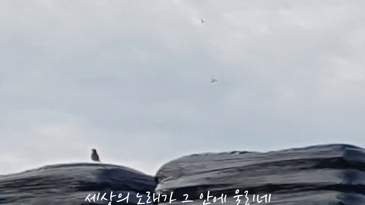 쌀 한 톨의 무게 - 홍순관