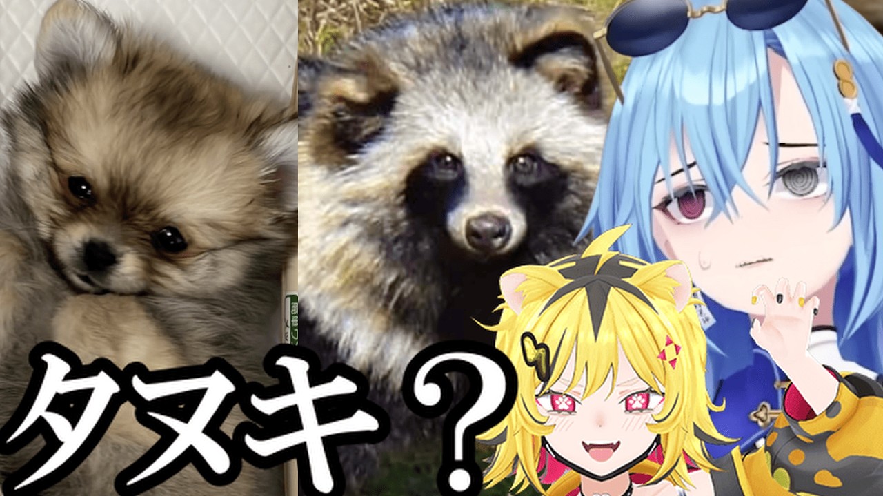 【AI切り抜き】見紛うことなきタヌキすぎるぽんちゃん【あおぎり高校/うる虎がーる/春雨麗女】