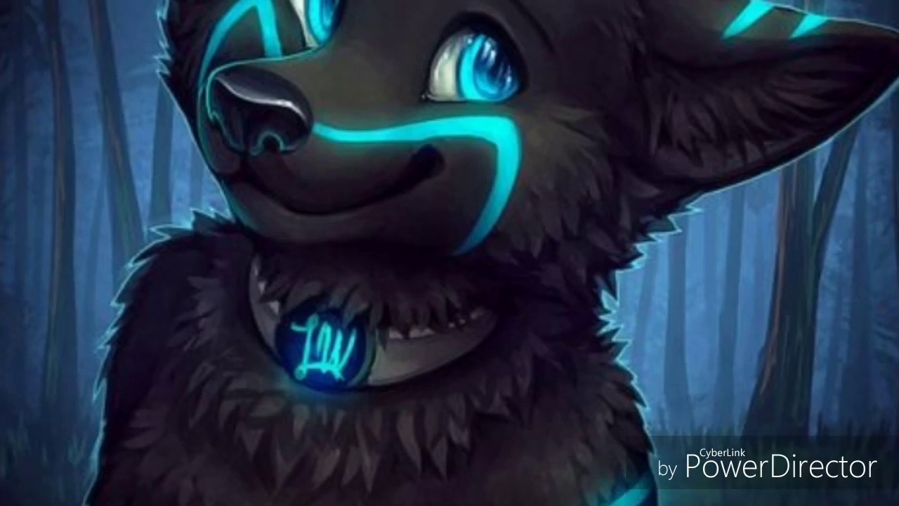 Anime wolves - don't leave me alone