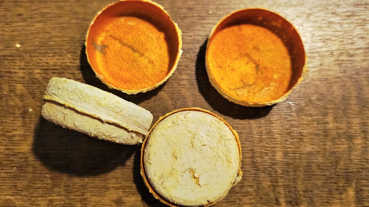 Turning Orange Peels into Tiny Boxes | Eco-Friendly DIY