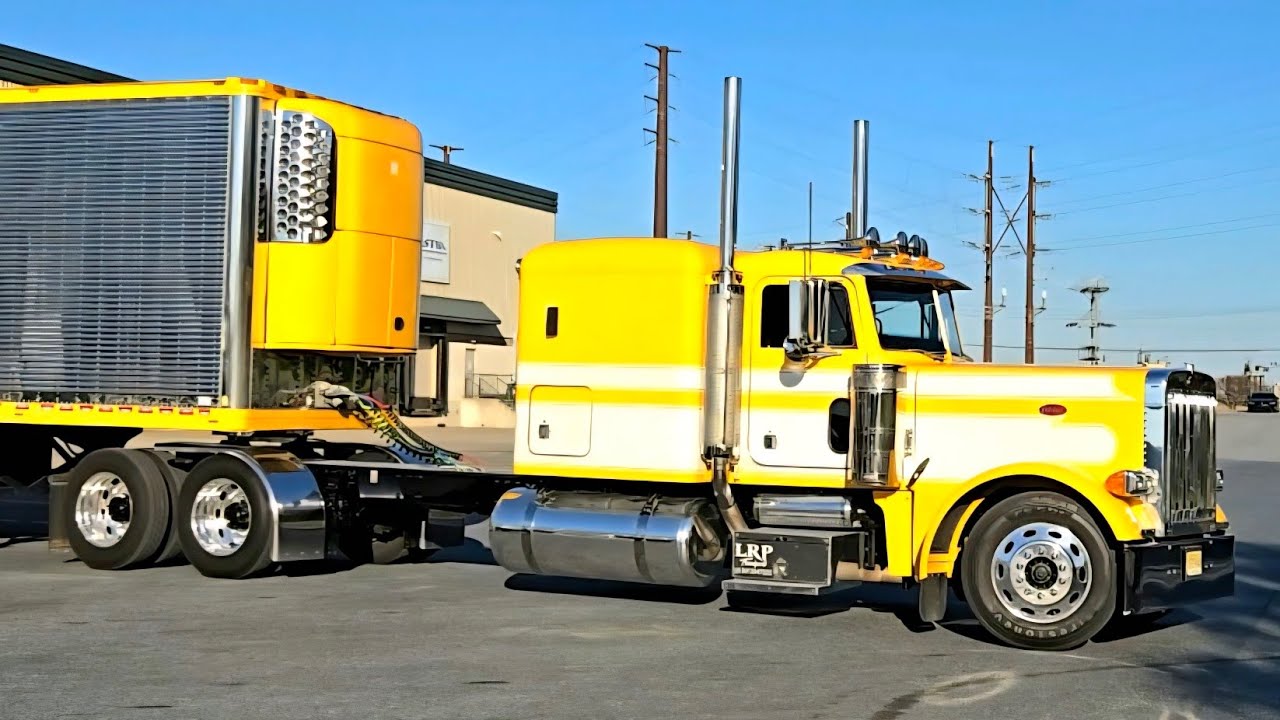 LRP - Transport BAD Build 379 2002 Pete - Walk Around More - #717 #largecar #bigrig #peterbilt