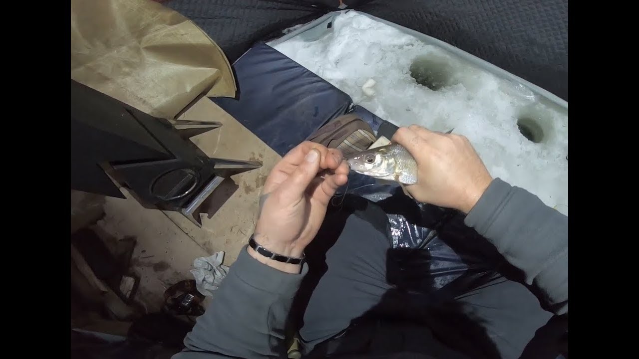 Зимняя РЫБАЛКА Сиг..