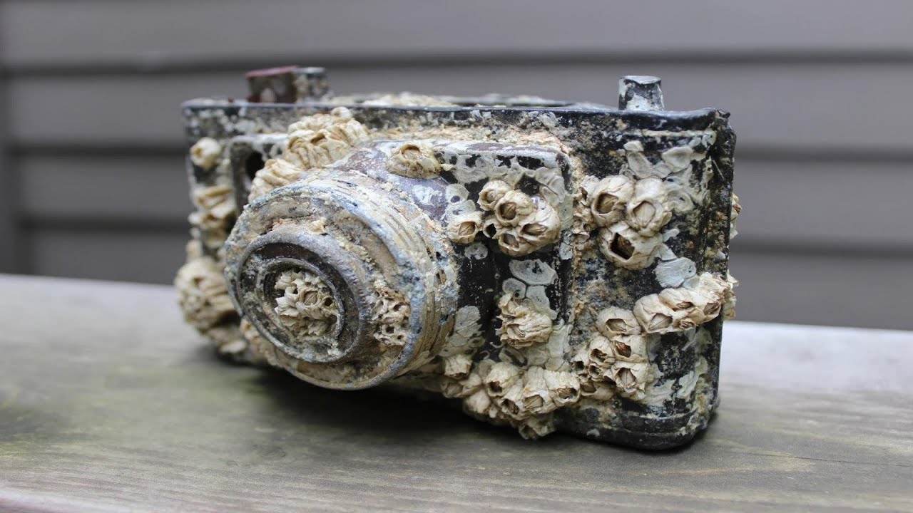 FANTASTIC AND INGENIOUS Dry Ice cleaning AND Barnacles Removing From Ship COMPILATION.
