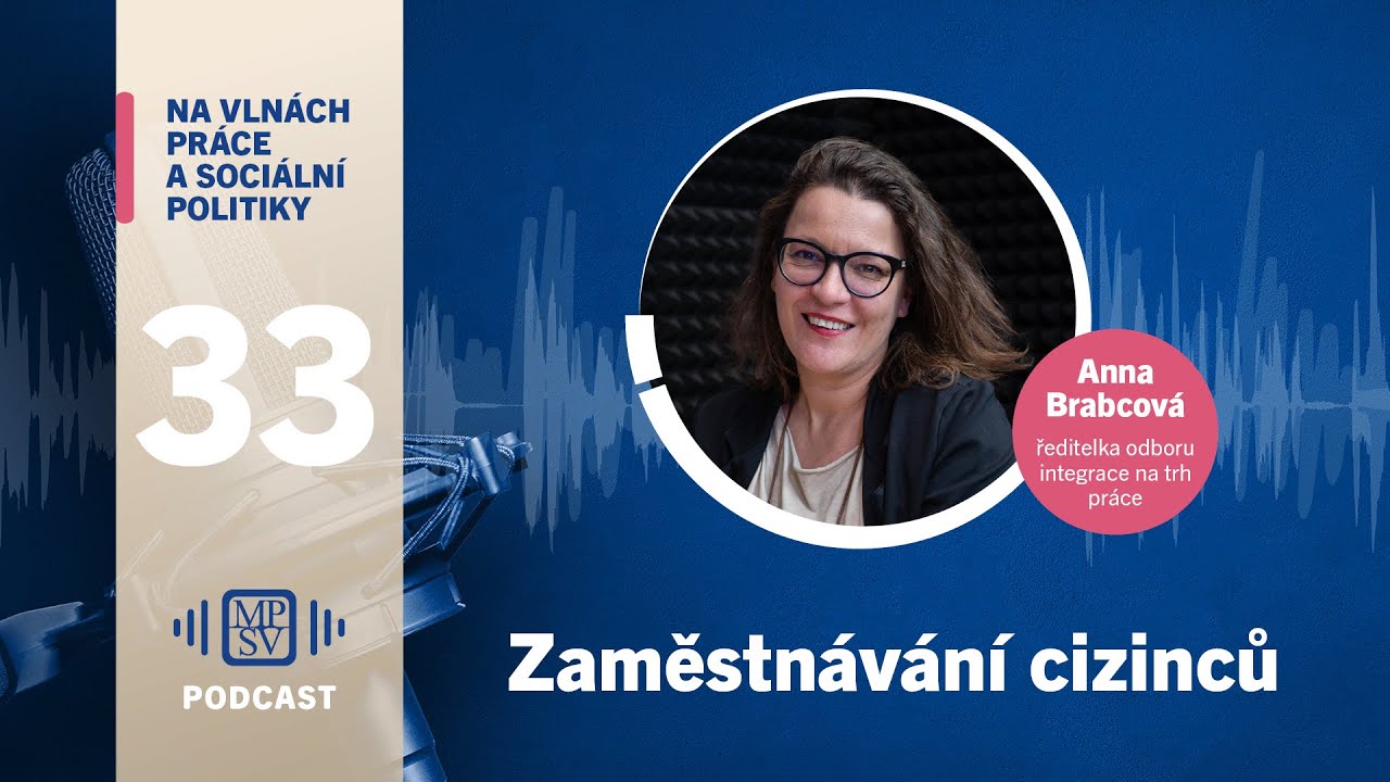 Zaměstnávání cizinců - Anna Brabcová