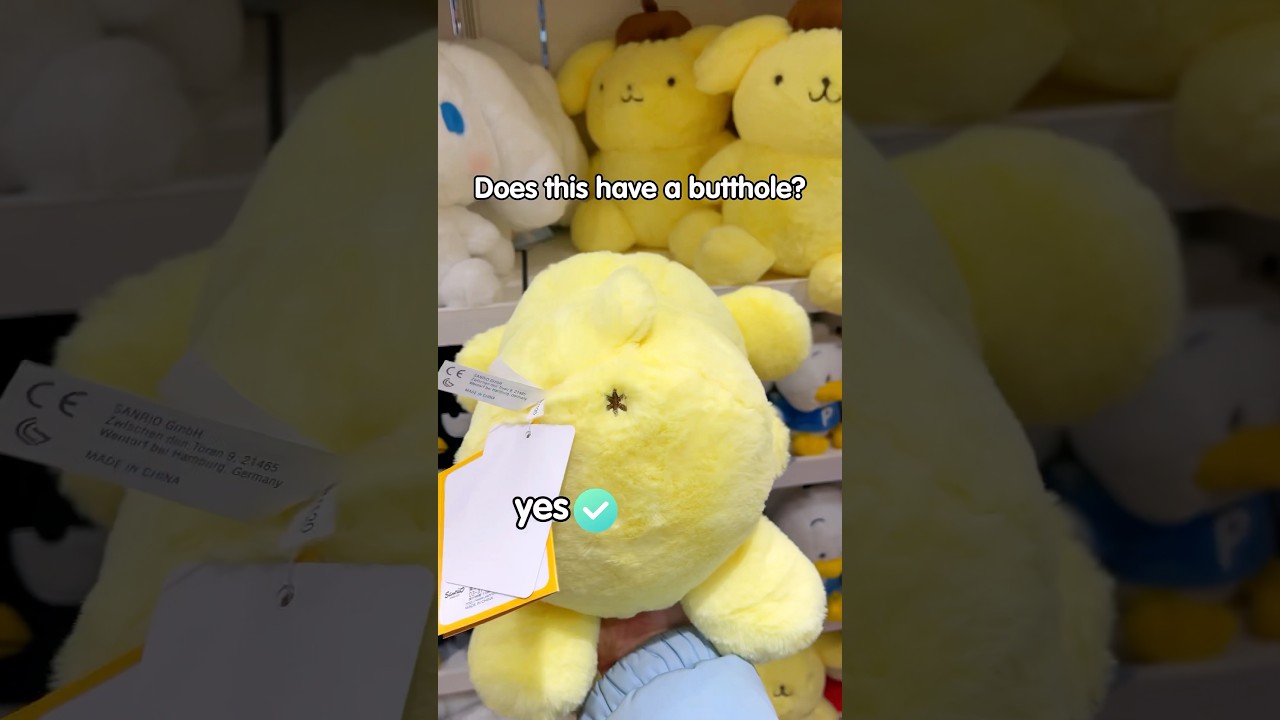 Pom Pom Purin BUTTHOLE ??? #pompompurin #sanrio #kuromi #japan #hellokitty