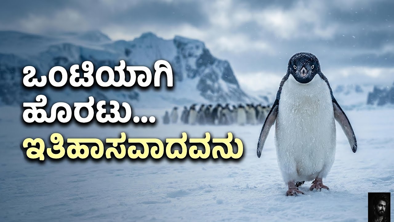 🐧 ಒಂಟಿ ಪೆಂಗ್ವಿನ್ ಯಾಕೆ ಇಡೀ ಜಗತ್ತನ್ನೇ ಅಚ್ಚರಿಗೊಳಿಸಿತು? | Kannada Documentary.