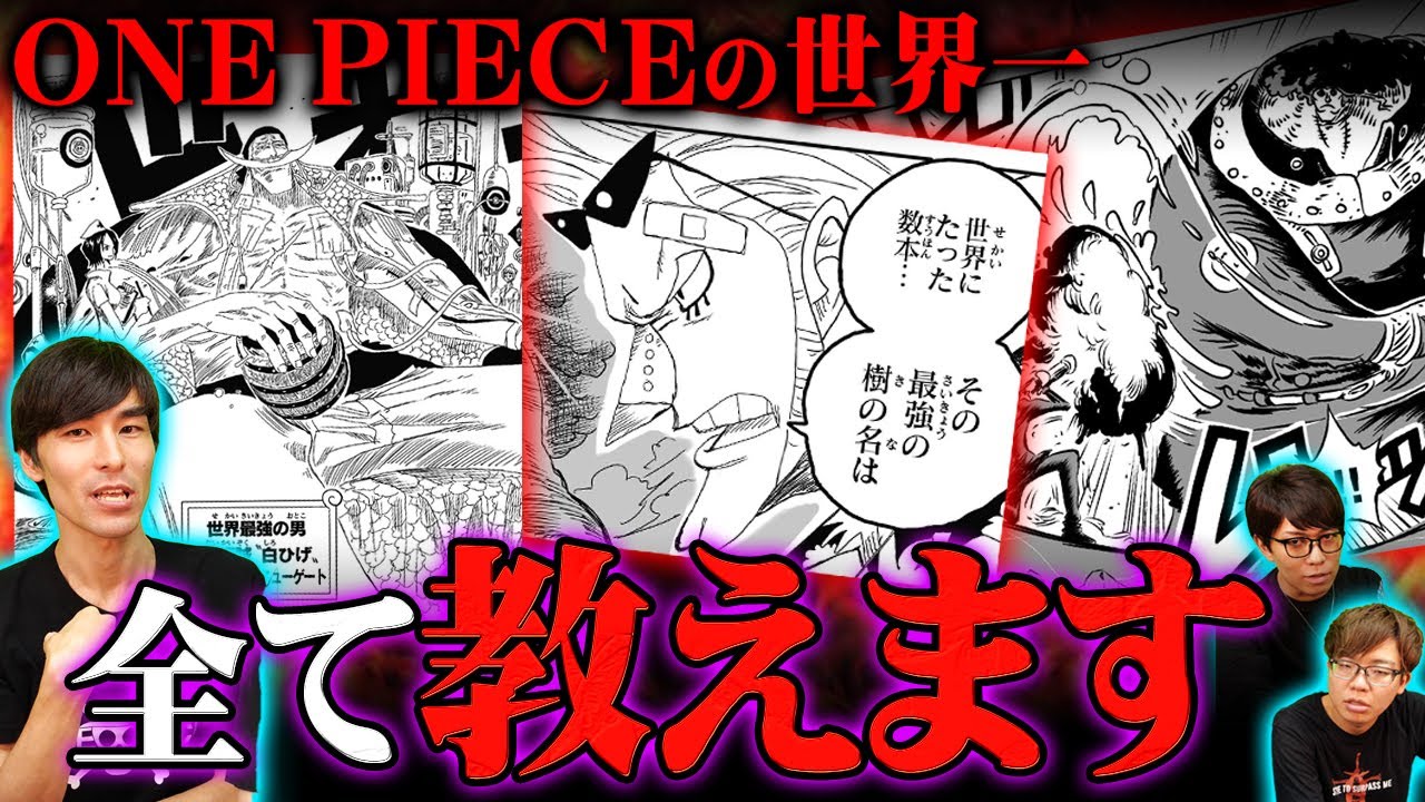 世界最強〇〇！3代目ナレッジキングが全部教えます！【 ワンピース 考察 最新 1091話 】※ジャンプ ネタバレ 注意