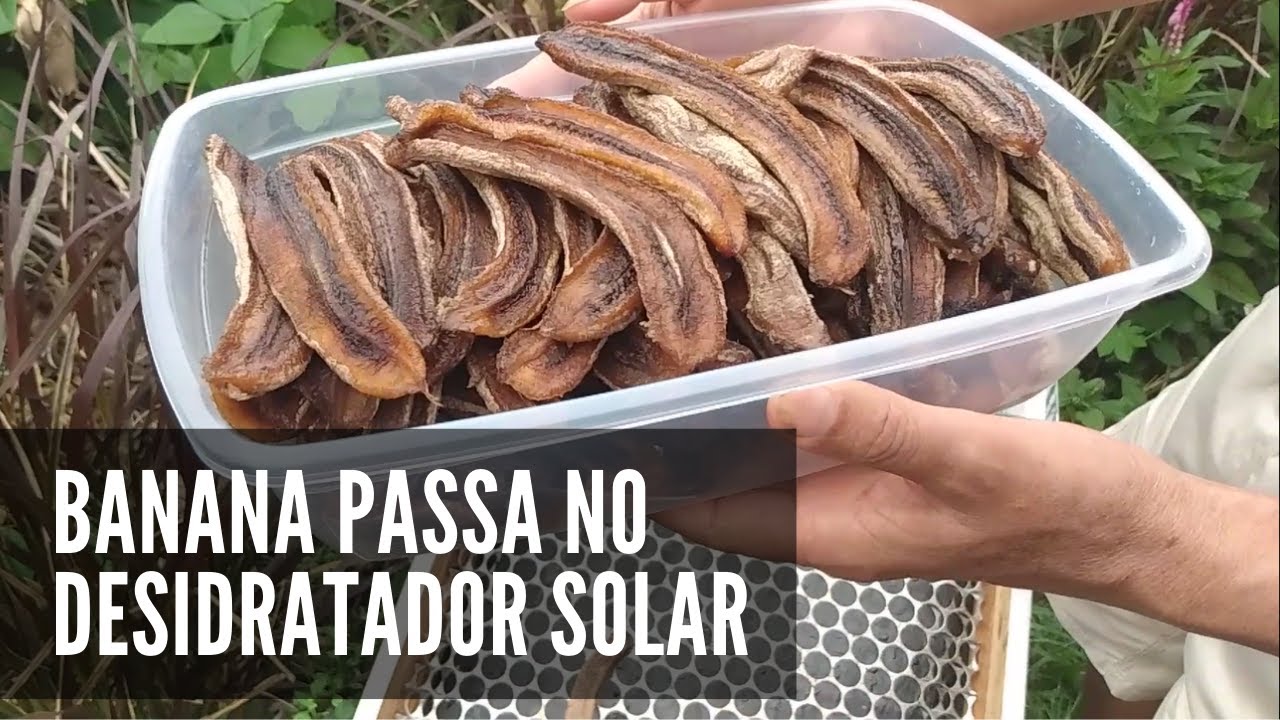 Fazendo  BANANA PASSA no DESIDRATADOR SOLAR