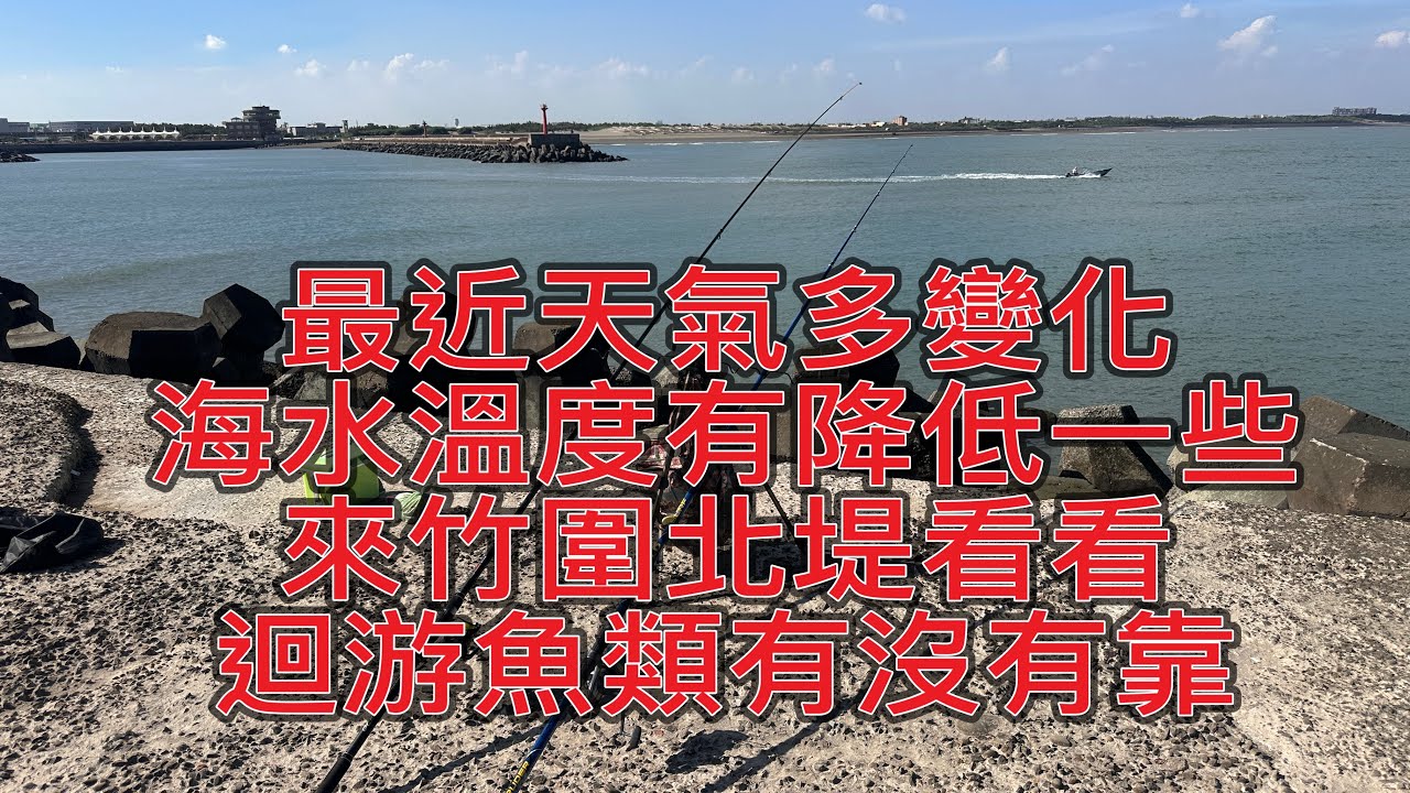 最近天氣多變化.溫度有降低點點..來竹圍漁港北堤看看..有沒有魚靠岸