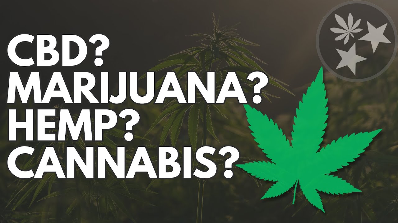 CBD, Hemp, and Marijuana Laws Explained