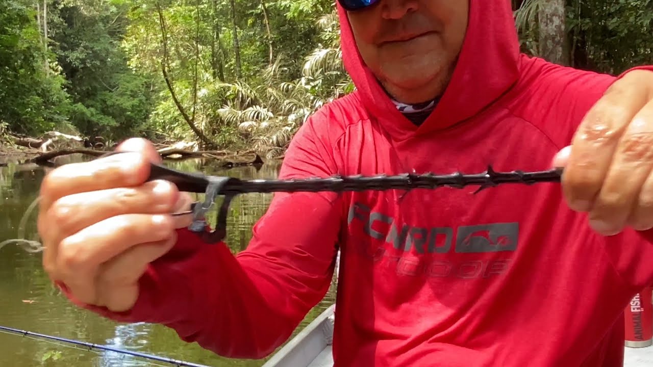 3 ISCAS QUE RESOLVEM A PESCA DE TRAIRÃO E TRAIRAS, Milagrosa !