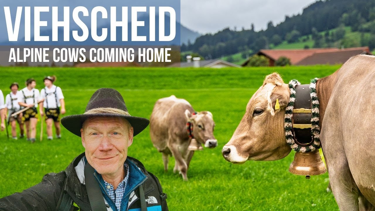 Cows Coming Home Festivals in the Alps You Need to See!
