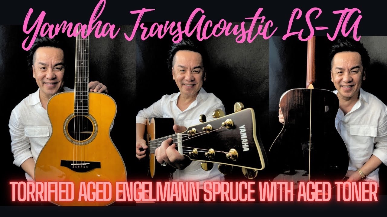 Yamaha TransAcoustic LS-TA with Upgraded FMI saddle and Dyed Bone pins 