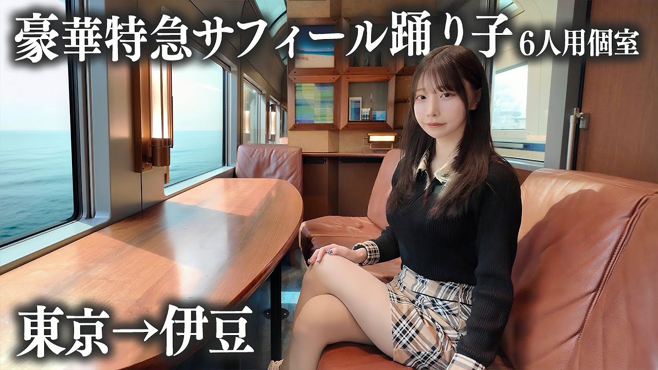 【東京→伊豆】豪華特急サフィール踊り子の6人用個室に初乗車、これはさすがに...