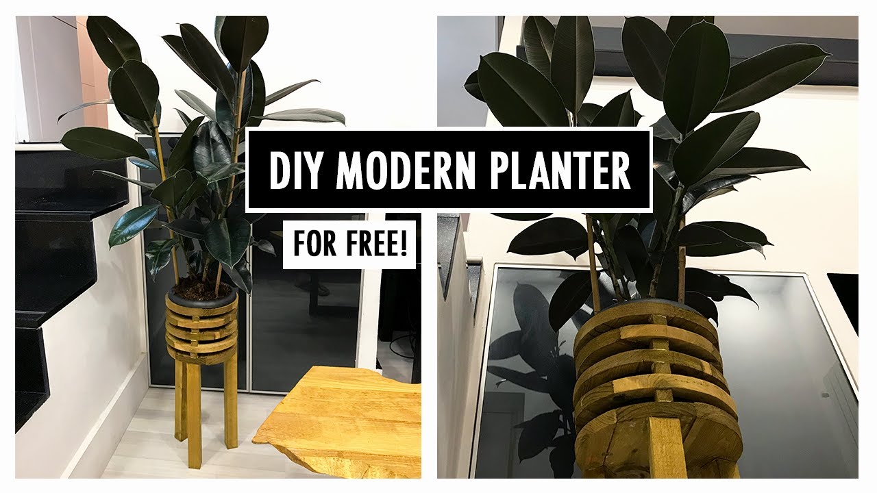 Free Wood Planter | DIY Modern Planter | Plant Stand