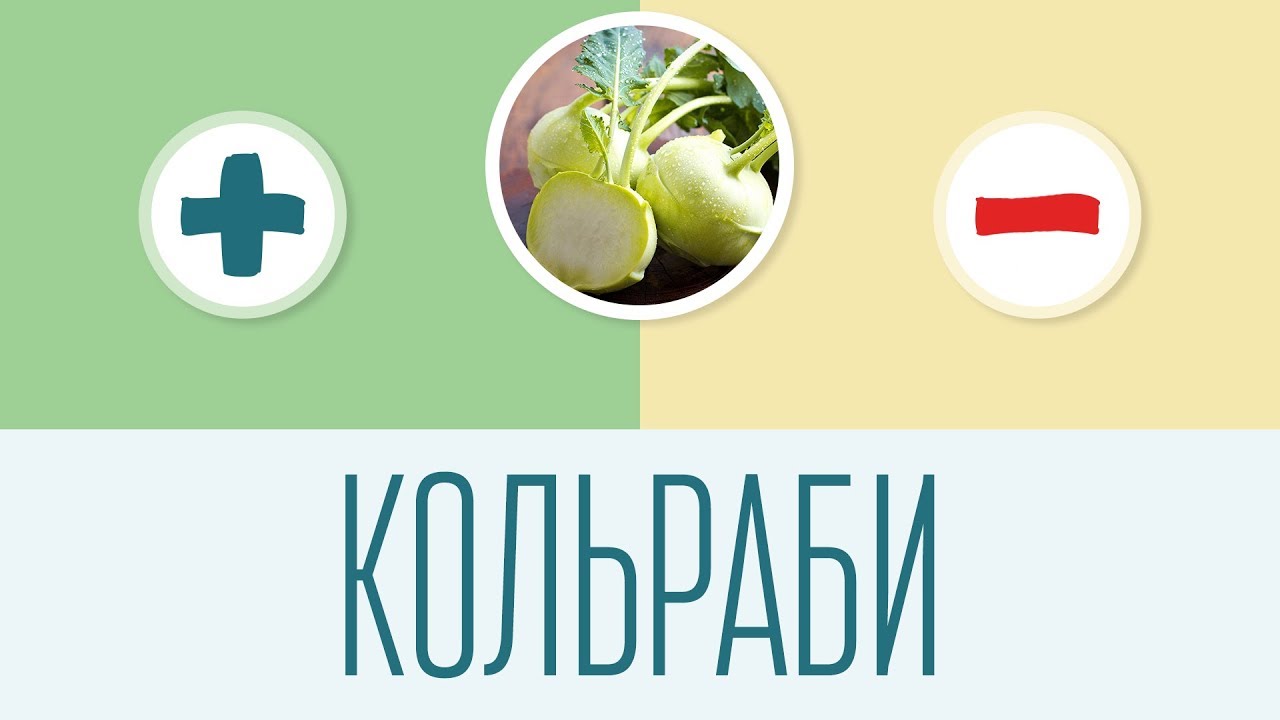 Кольраби. Плюсы и минусы